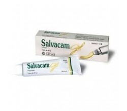 SALVACAM GEL (5 MG/G GEL TOPICO 60 G )