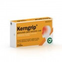 KERNGRIP (10 SOBRES )